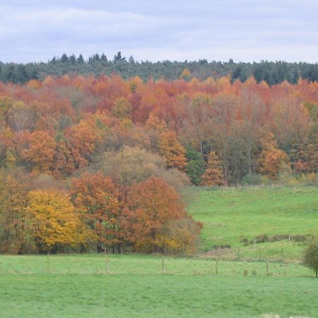 Hallerbos B&B In Bluebell Forest Halle  Extérieur photo