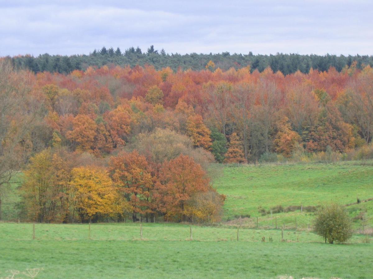 Hallerbos B&B In Bluebell Forest Halle  Extérieur photo