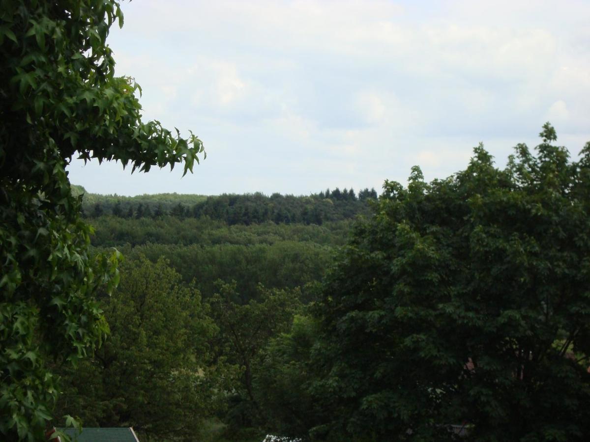 Hallerbos B&B In Bluebell Forest Halle  Extérieur photo